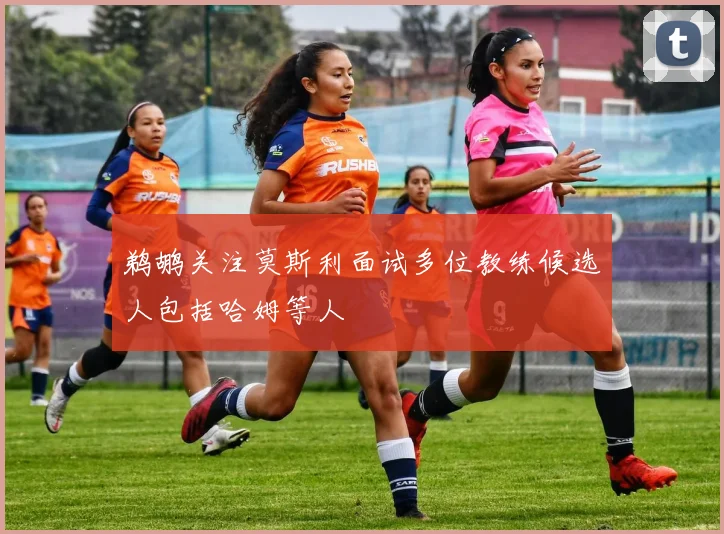鹈鹕关注莫斯利面试多位教练候选人包括哈姆等人